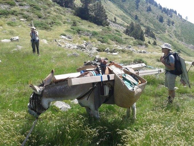 portage poteaux âne