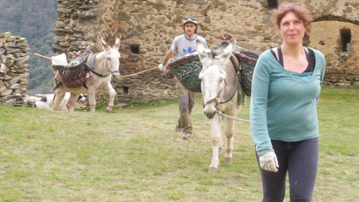 portage animal restauration patrimoine