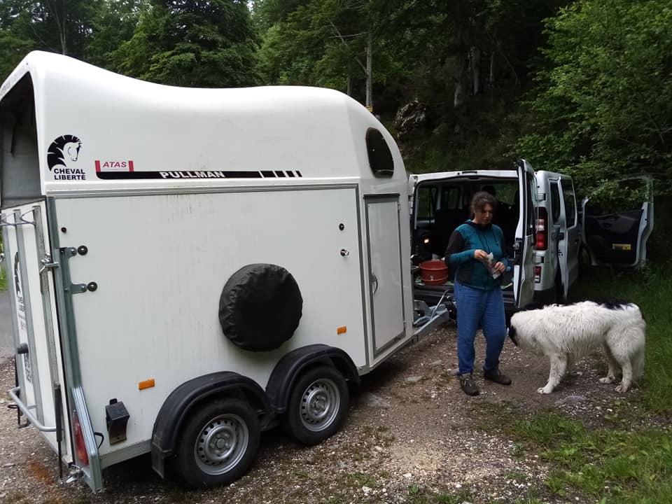 transport ânes auvergne haute loire randonnée balade