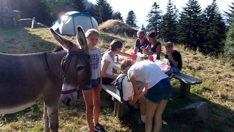 Bivouac Âne et famille en Haute-Loire Auvergne