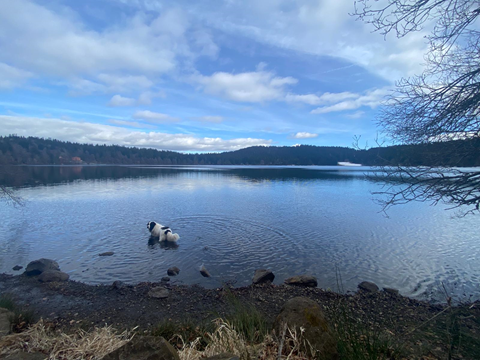 Lac du bouchet chemin de stevenson avec un ane